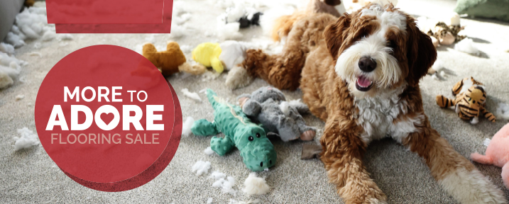 floor's best friend sale